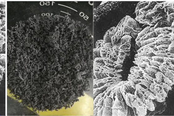 +100 मेश उच्च कार्बन विस्तारित ग्रेफाइट