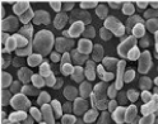 99.97% कार्बन सामग्री 21um और 13ppm Fe प्राकृतिक एनोड सामग्री गोलाकार ग्रेफाइट